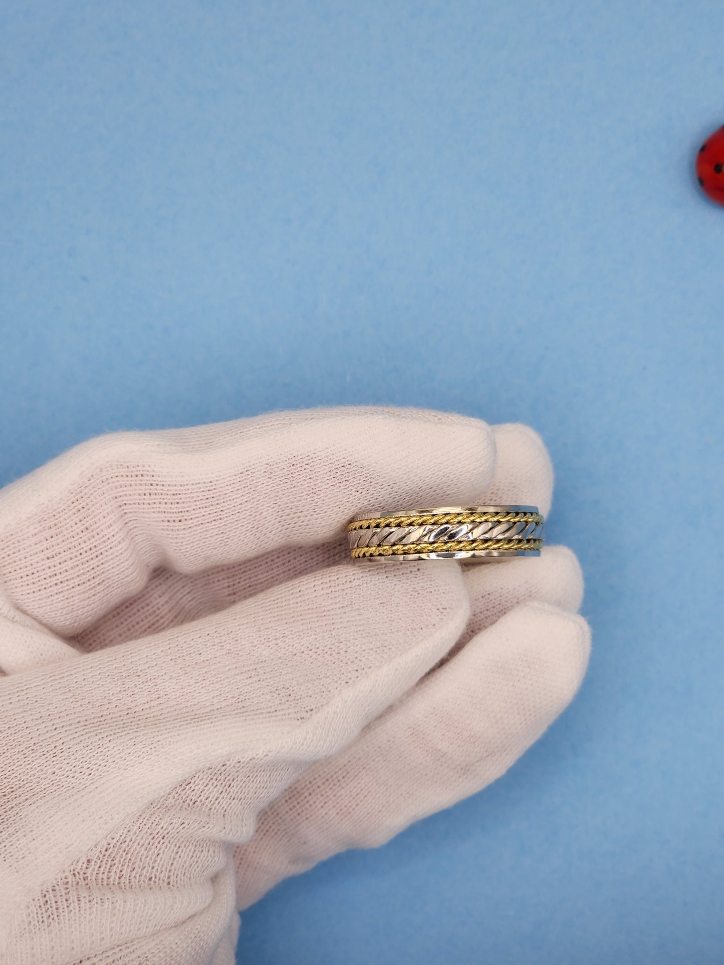 Men's Two-Tone Textured Twisted Rope Wedding Band in Platinum and 18k Yellow Gold